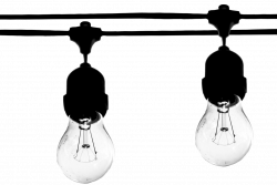 Light bulbs