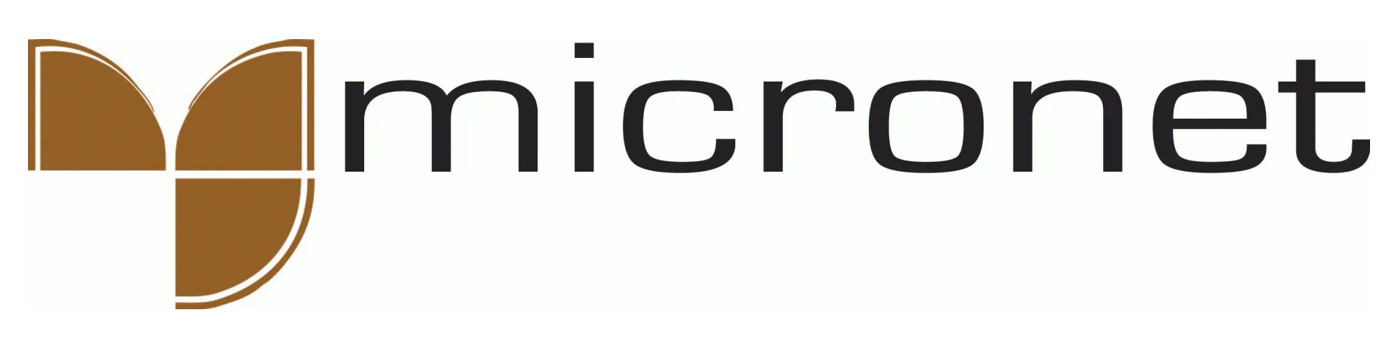 Micronet Systems logo